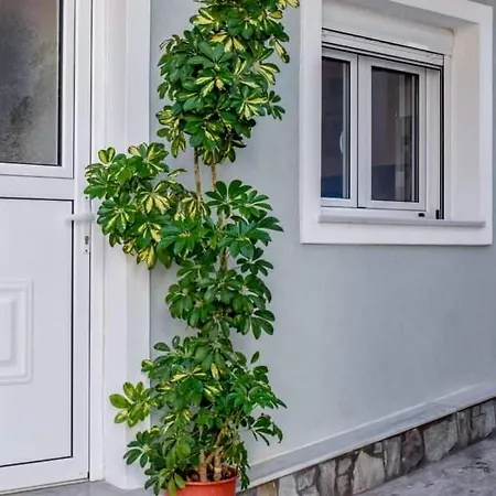 Klaidis House Apartment *