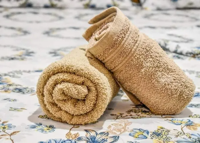 Klaidis House * 斯基亚索斯镇